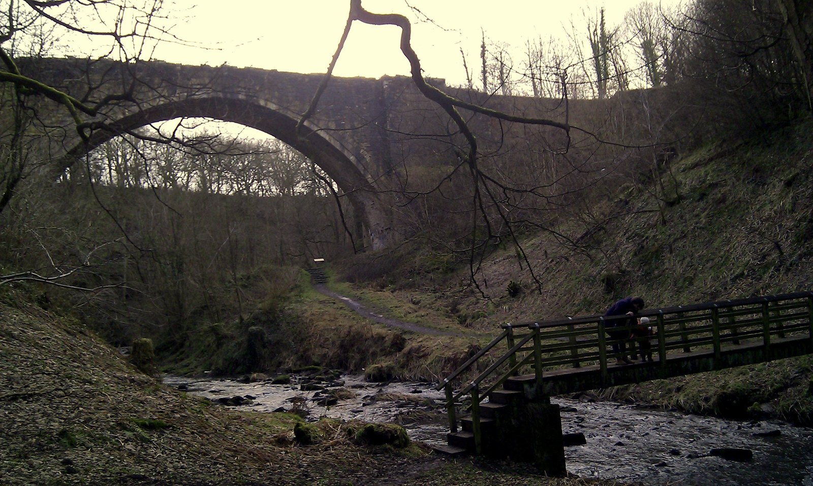 The Causey Arch seen from the ravine floor, with the footpath and burn beneath it.